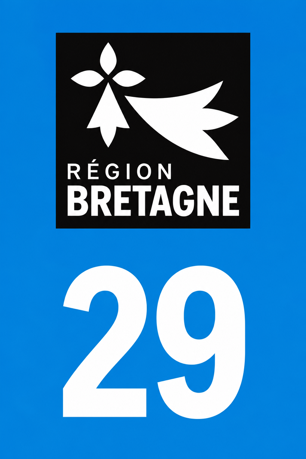 M3429 Magnet plaque immatriculation département Finistère (29)