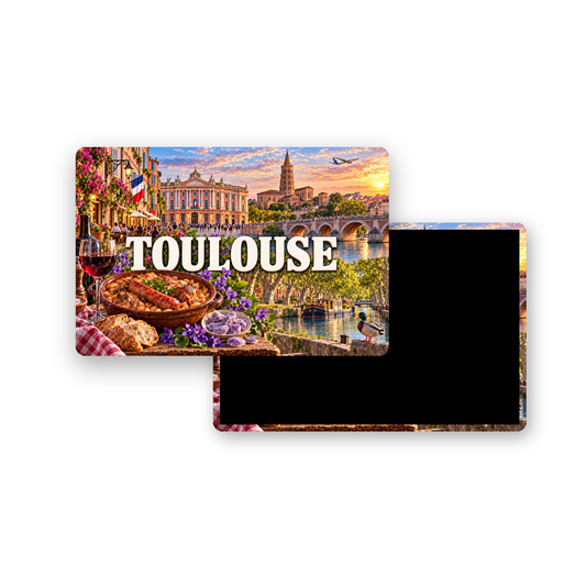 M2206 Magnet ville de France Toulouse