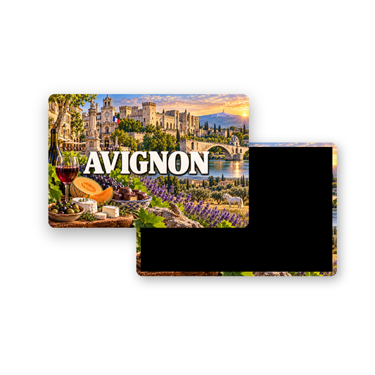 M2213 Magnet ville de France Avignon