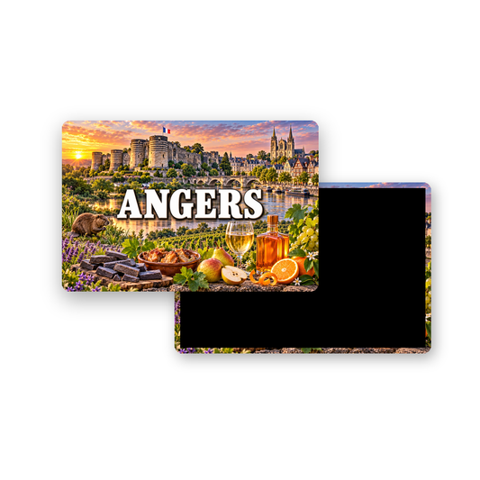 M2241 Magnet ville de France Angers