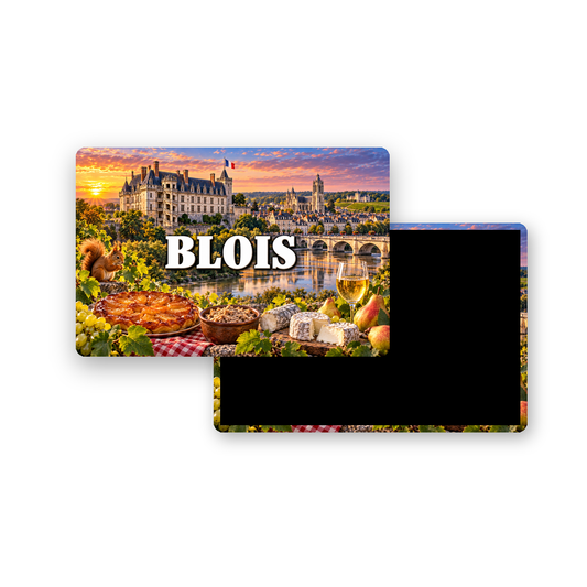 M2243 Magnet ville de France Blois