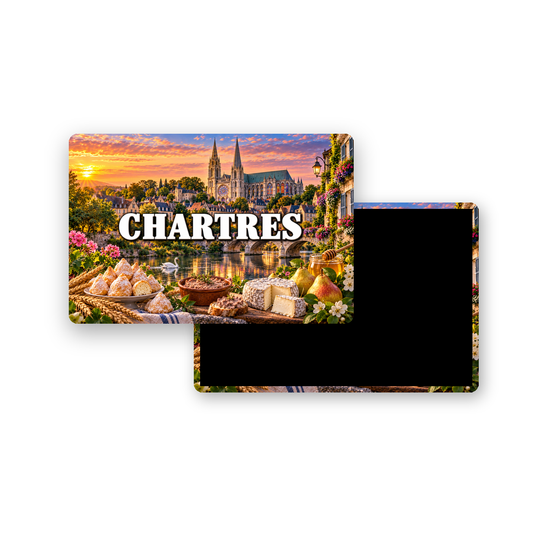 M2246 Magnet ville de France Chartres