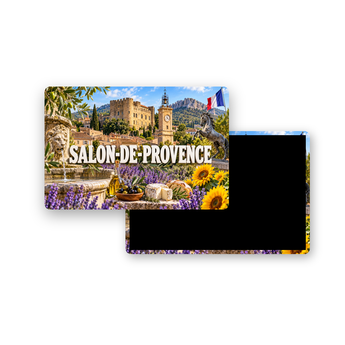 M2311 Magnet ville de France Salon-de-Provence