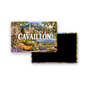 M2320 Magnet ville de France Cavaillon