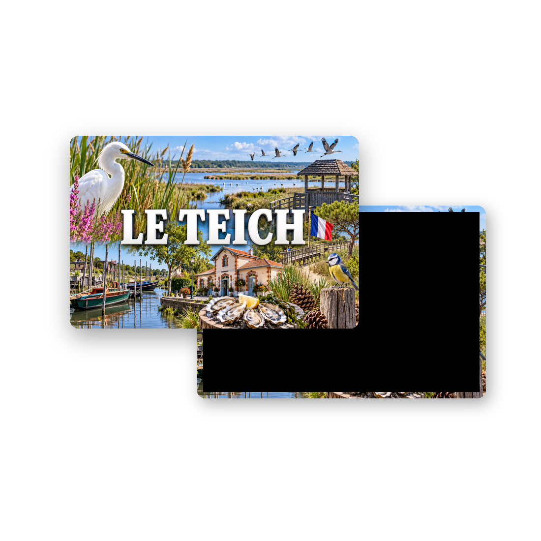 M2345 Magnet ville de France Le Teich