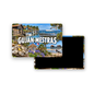 M2346 Magnet ville de France Gujan-Mestras