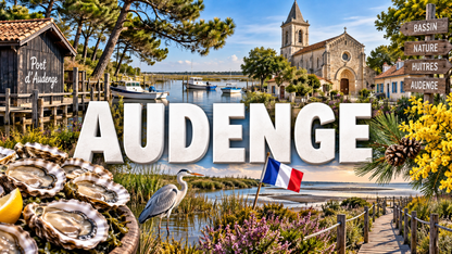 M2348 Magnet ville de France Audenge