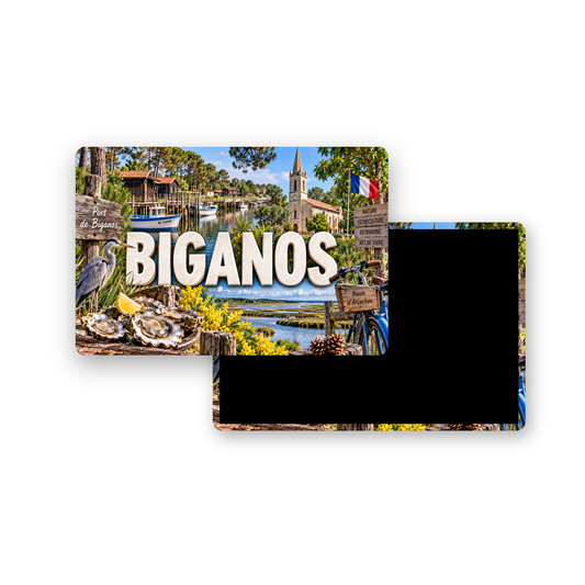 M2349 Magnet ville de France Biganos