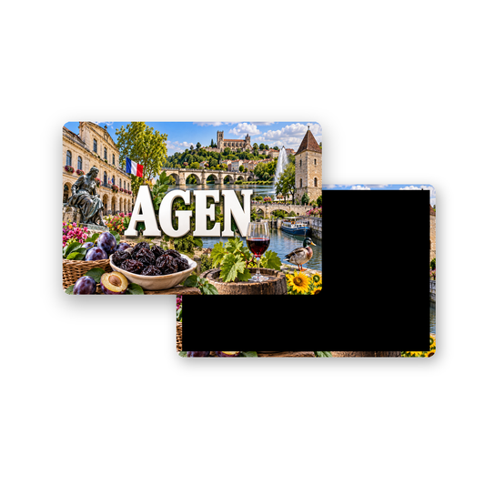 M2368 Magnet ville de France Agen