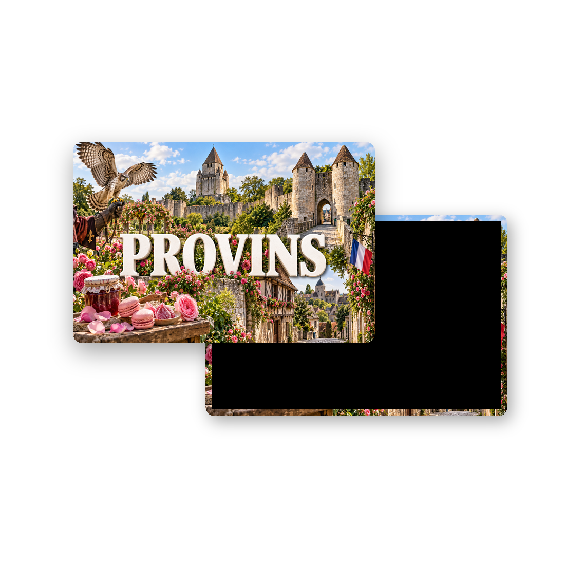 M2381 Magnet ville de France Provins