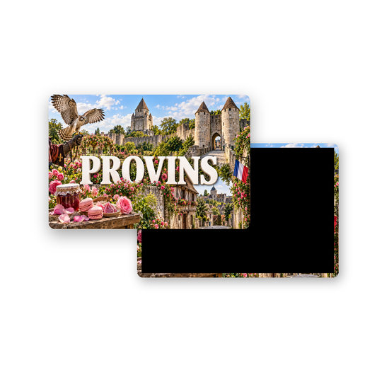 M2381 Magnet ville de France Provins