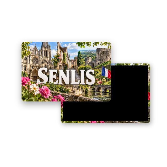 M2385 Magnet ville de France Senlis