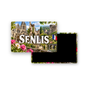 M2385 Magnet ville de France Senlis