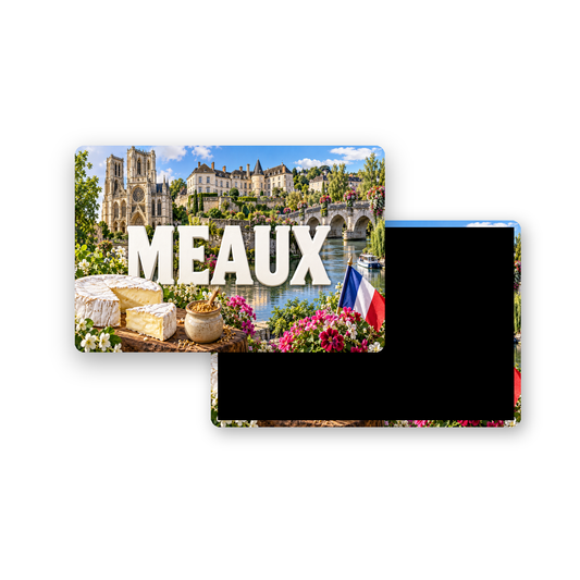 M2397 Magnet ville de France Meaux