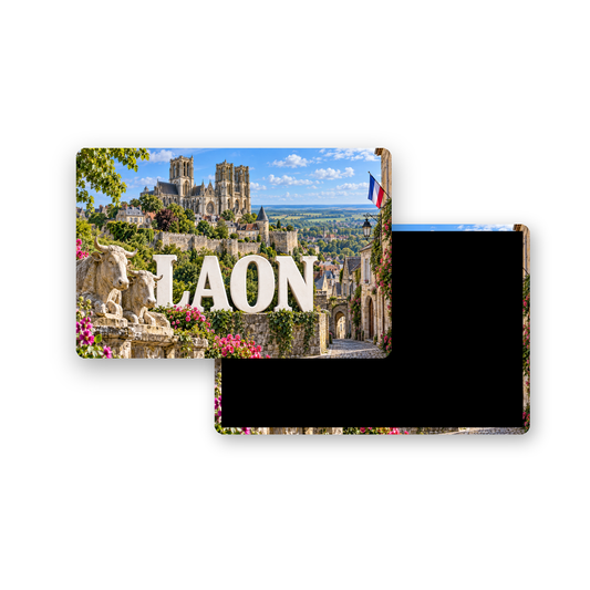 M2407 Magnet ville de France Laon