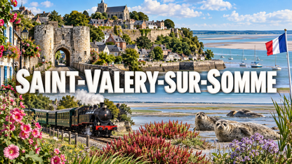 M2408 Magnet ville de France Saint-Valery-sur-Somme