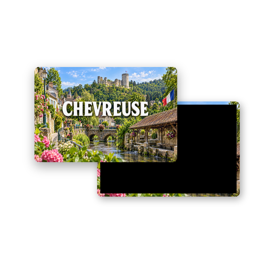 M2419 Magnet ville de France Chevreuse