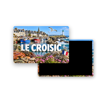 M2423 Magnet ville de France Le Croisic