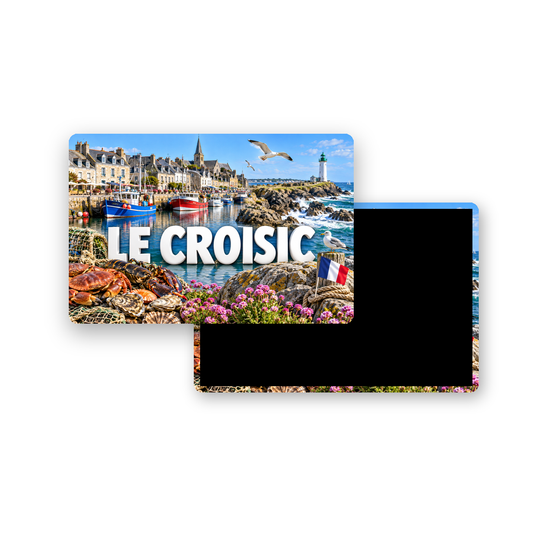 M2423 Magnet ville de France Le Croisic