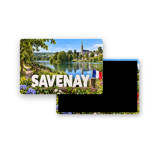 M2433 Magnet ville de France Savenay