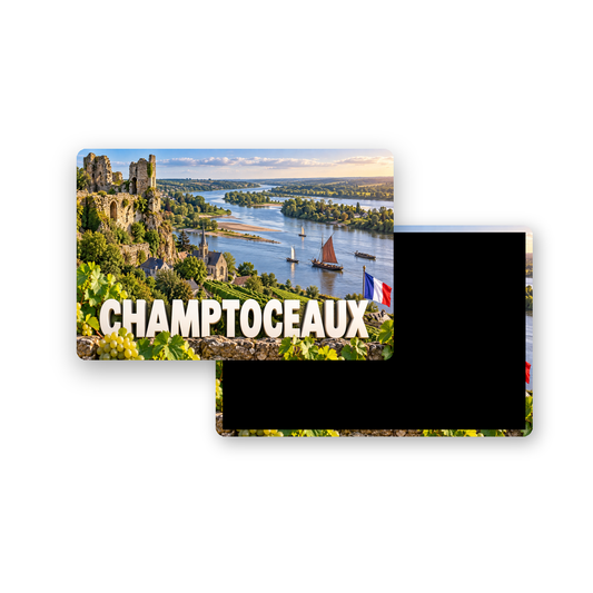 M2436 Magnet ville de France Champtoceaux