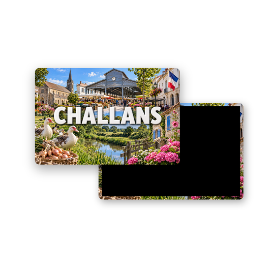 M2453 Magnet ville de France Challans