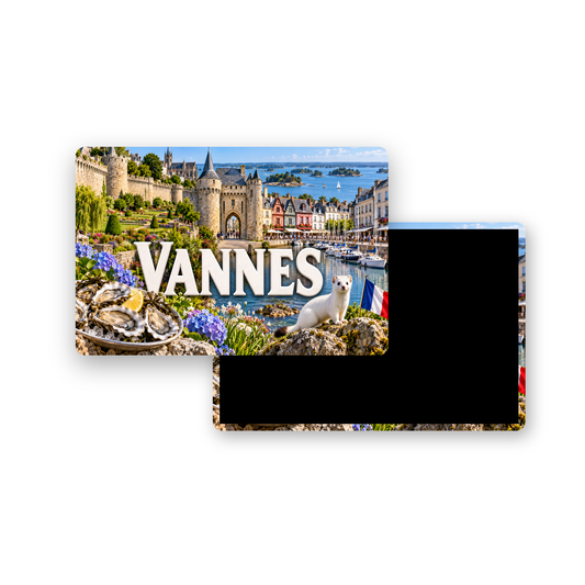 M2460 Magnet ville de France Vannes