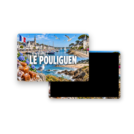 M2463 Magnet ville de France Le Pouliguen