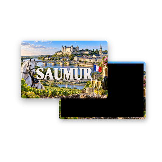 M2476 Magnet ville de France Saumur