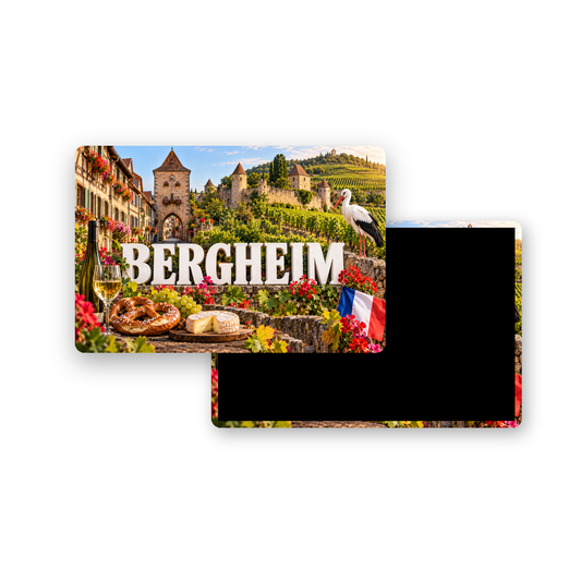 M2481 Magnet ville de France Bergheim