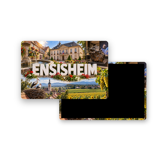 M2489 Magnet ville de France Ensisheim