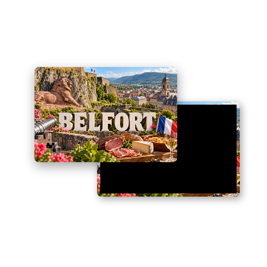 M2498 Magnet ville de France Belfort