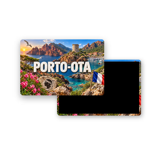 M2501 Magnet ville de France Porto-Ota