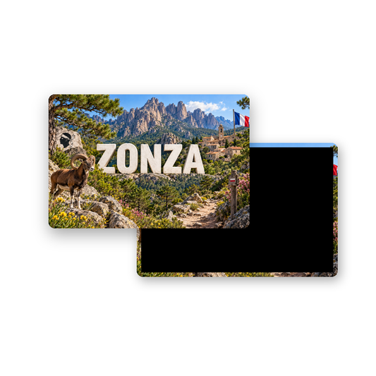 M2510 Magnet ville de France Zonza