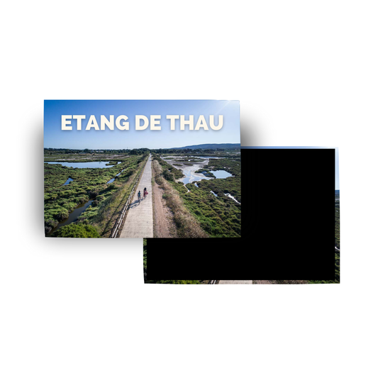 M257 Magnet Touristique Sud de France - Etang de Thau