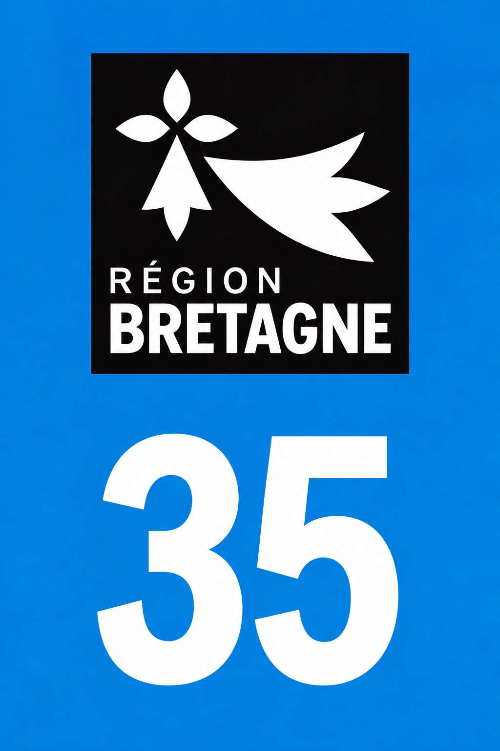 M3435 Magnet plaque immatriculation département Ille-et-Vilaine (35)