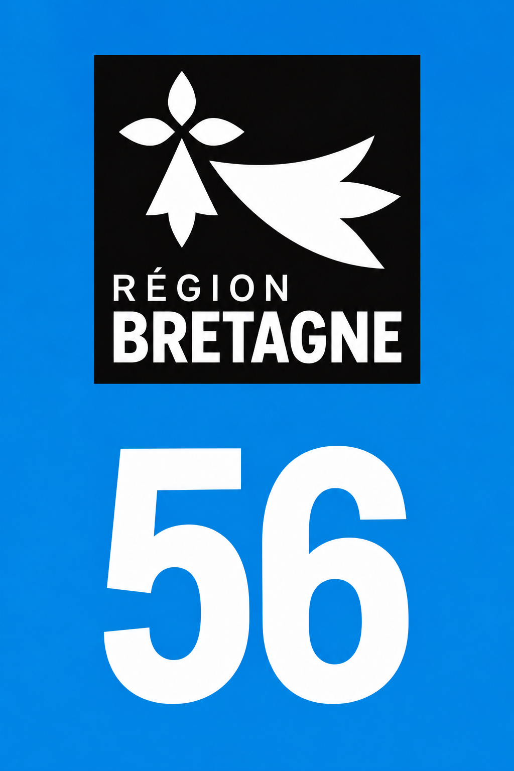 M3456 Magnet plaque immatriculation département Morbihan (56)