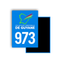 M3498 Magnet plaque immatriculation département Guyane (973)