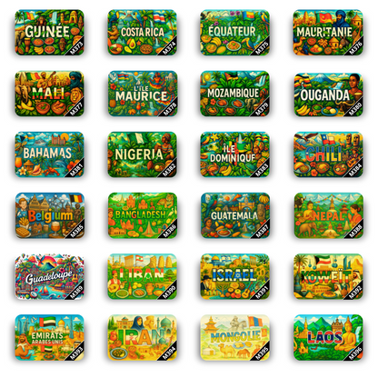 Lot de 12 Magnets Pays du Monde